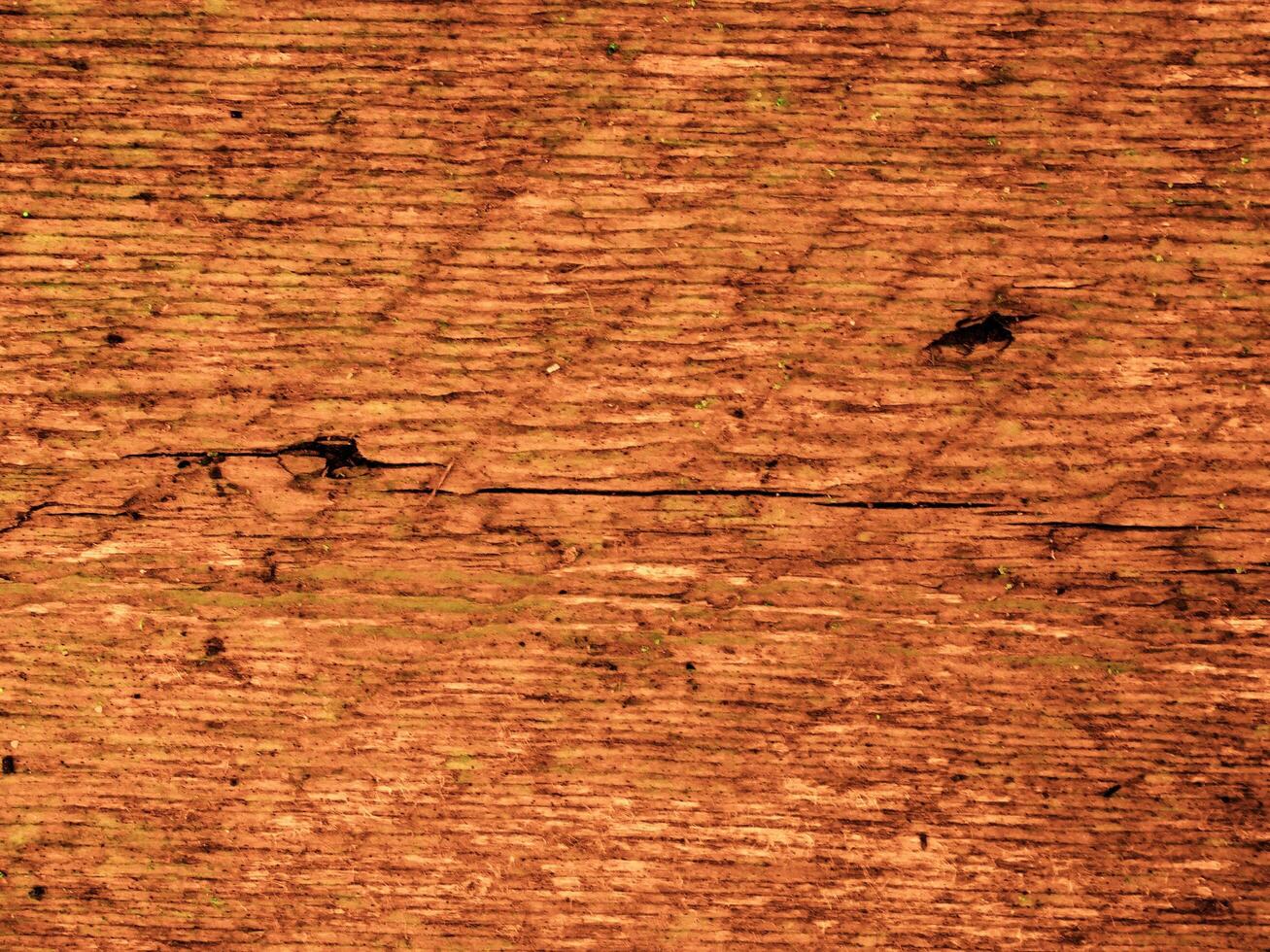 Dark Brown Wood Texture photo