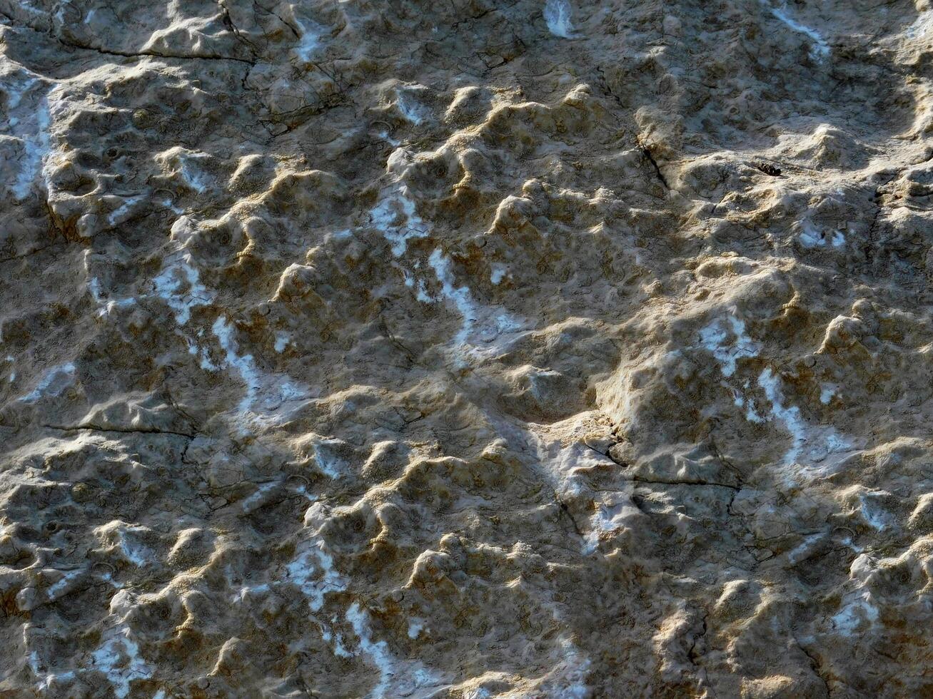 Dark Stone Texture photo