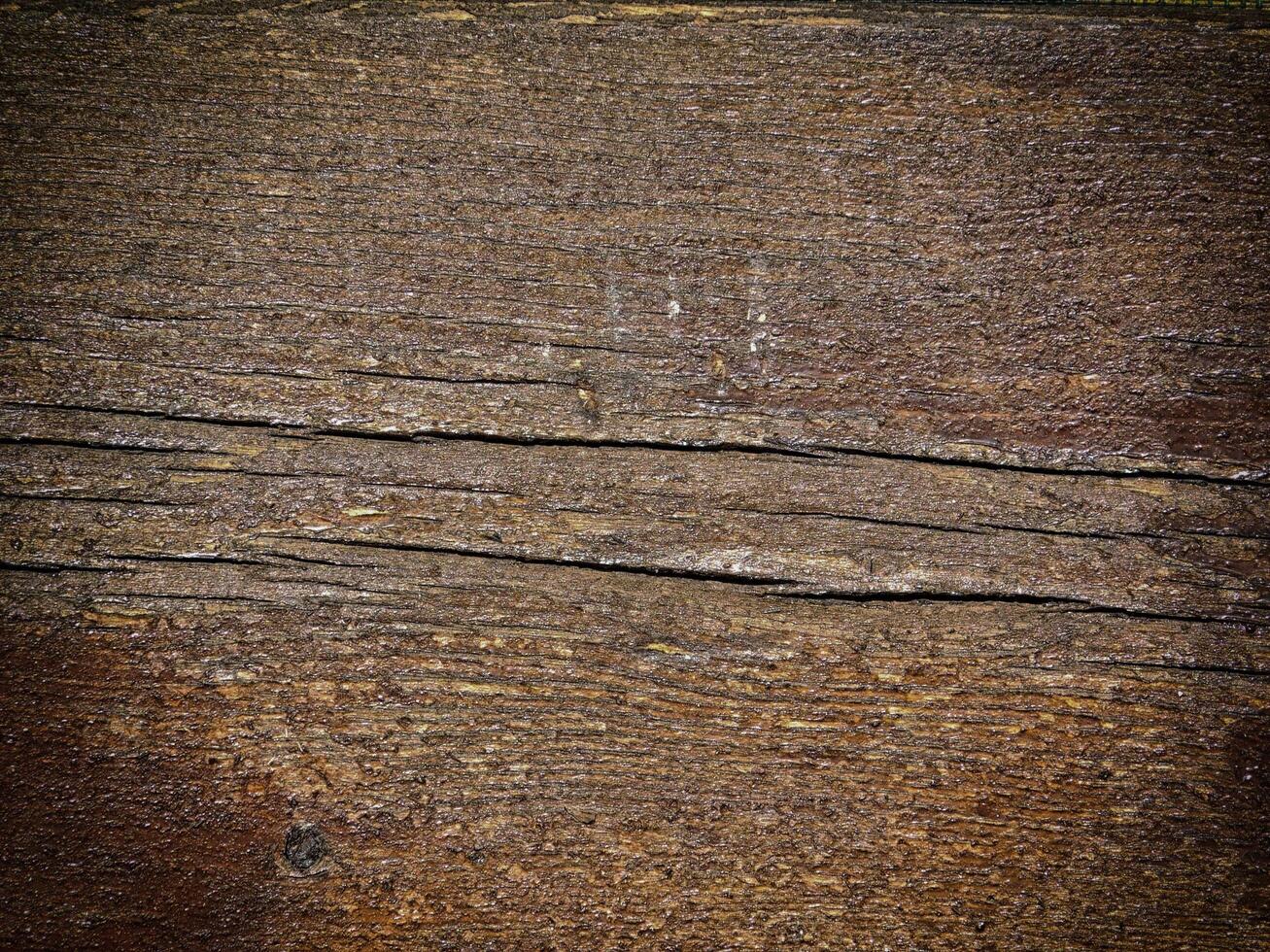 Dark Wood Texture In The Garden photo