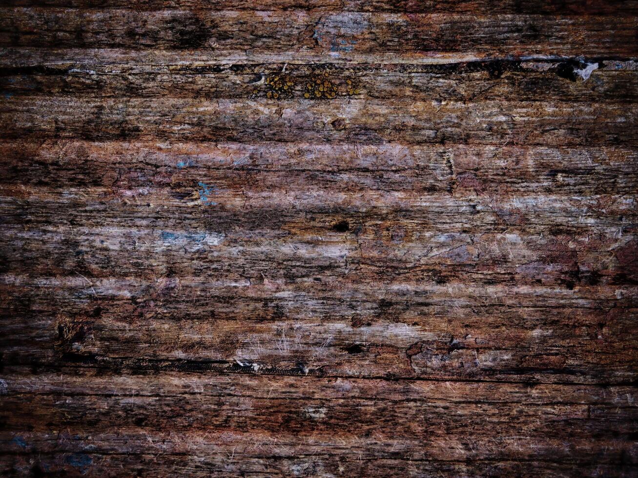 Dark Wood Texture In The Garden photo