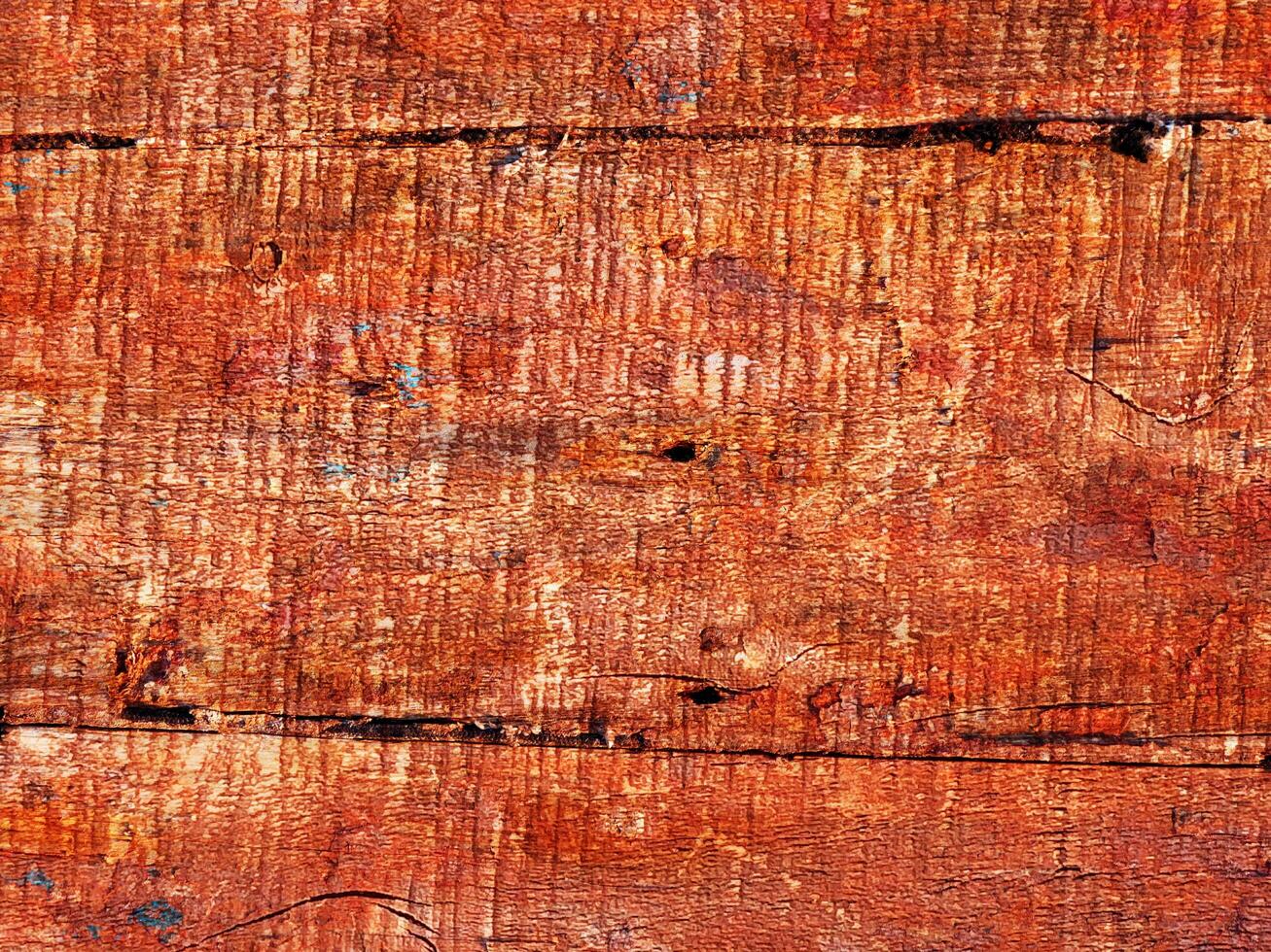 Wood Texture Outdoors In The Garden photo