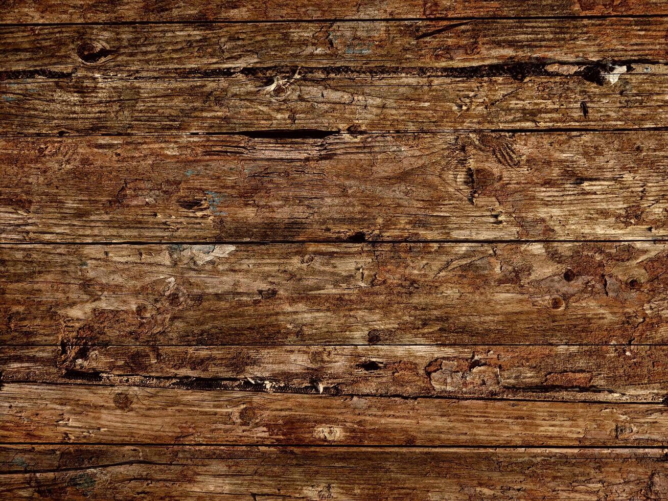 Brown Wood Texture photo