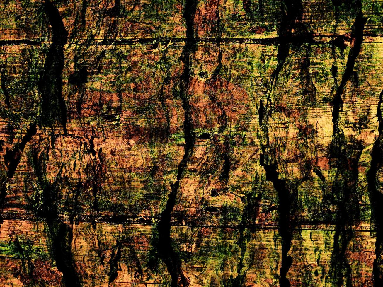 Dark Brown Wood Texture photo