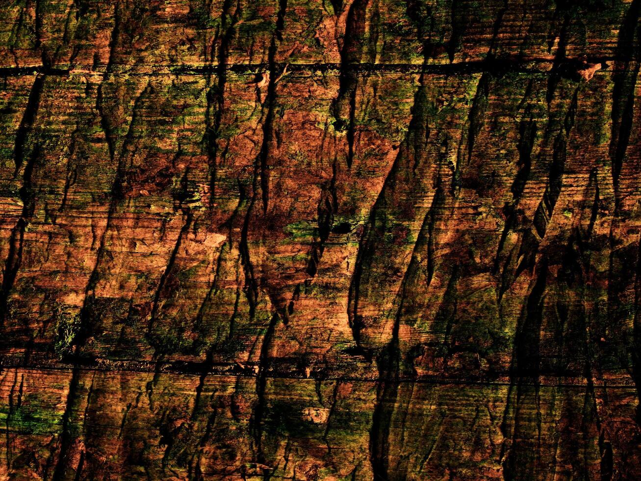 Dark Brown Wood Texture photo