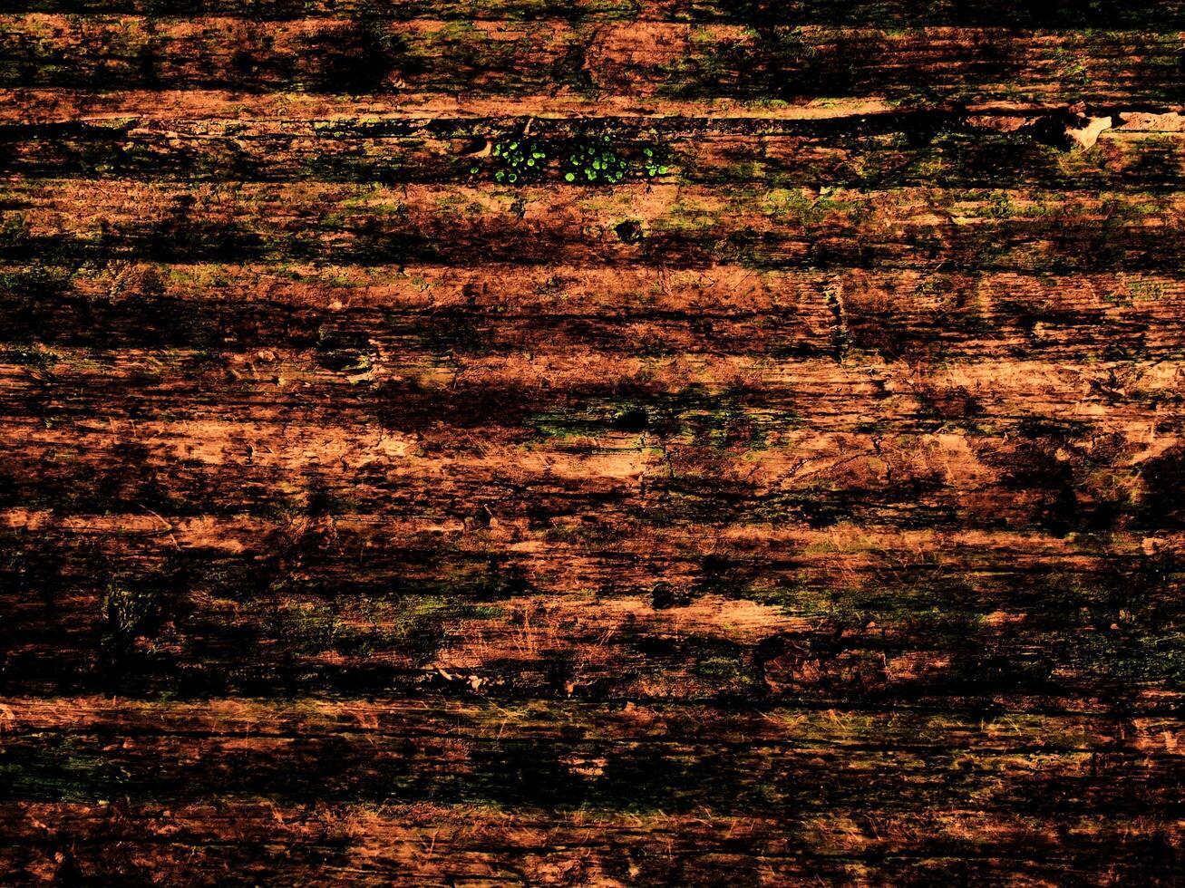 Dark Brown Wood Texture photo