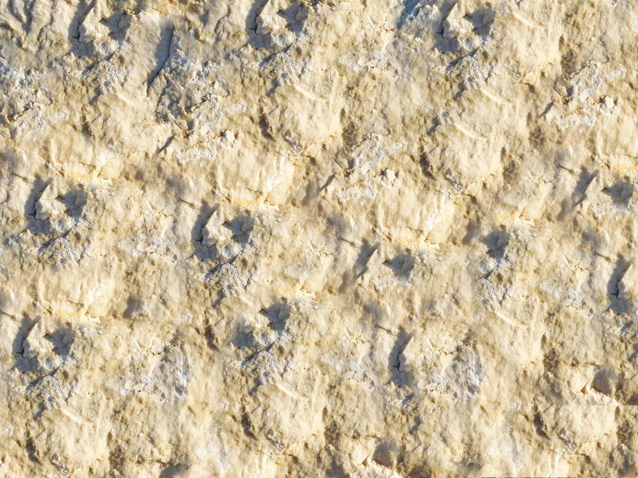 Stone Texture In The Garden photo
