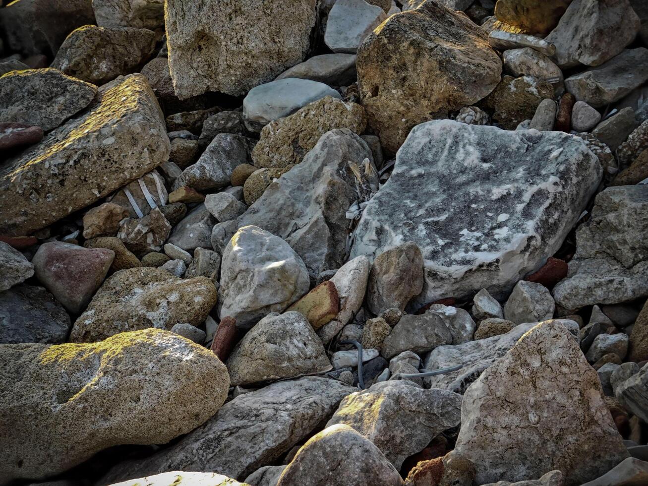 Dark Stone Texture In The Garden photo