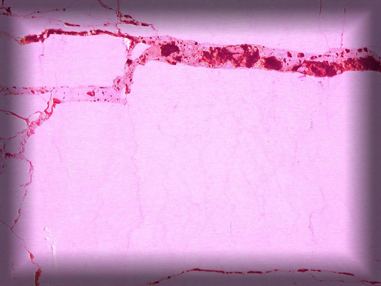 Pink Marble Texture photo