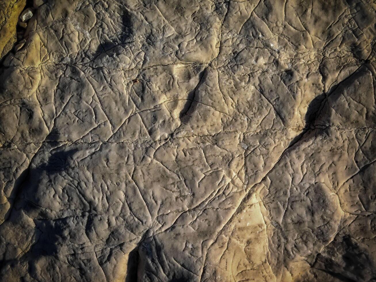 Dark Stone Texture In The Garden photo