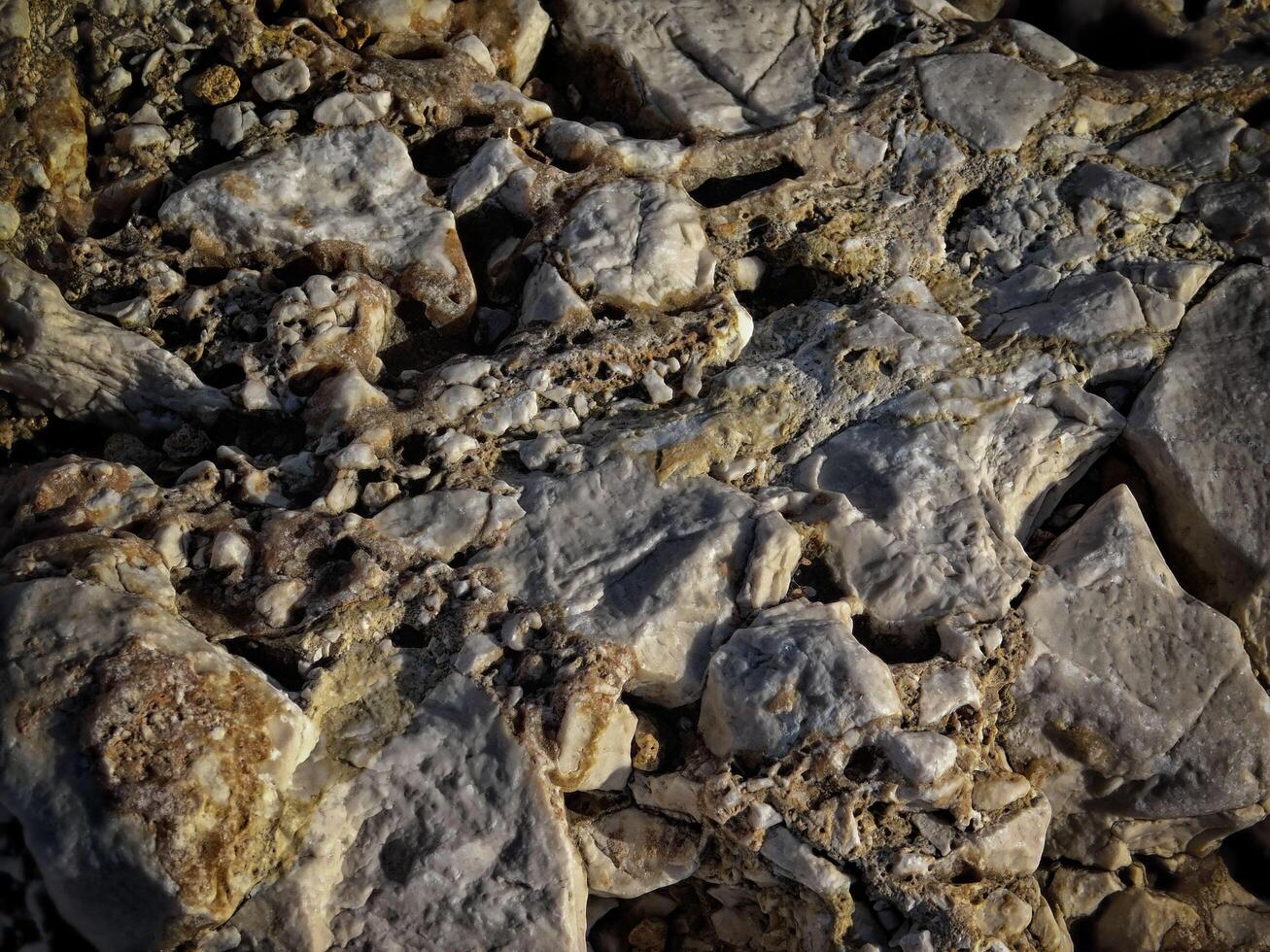 Dark Stone Texture In The Garden photo