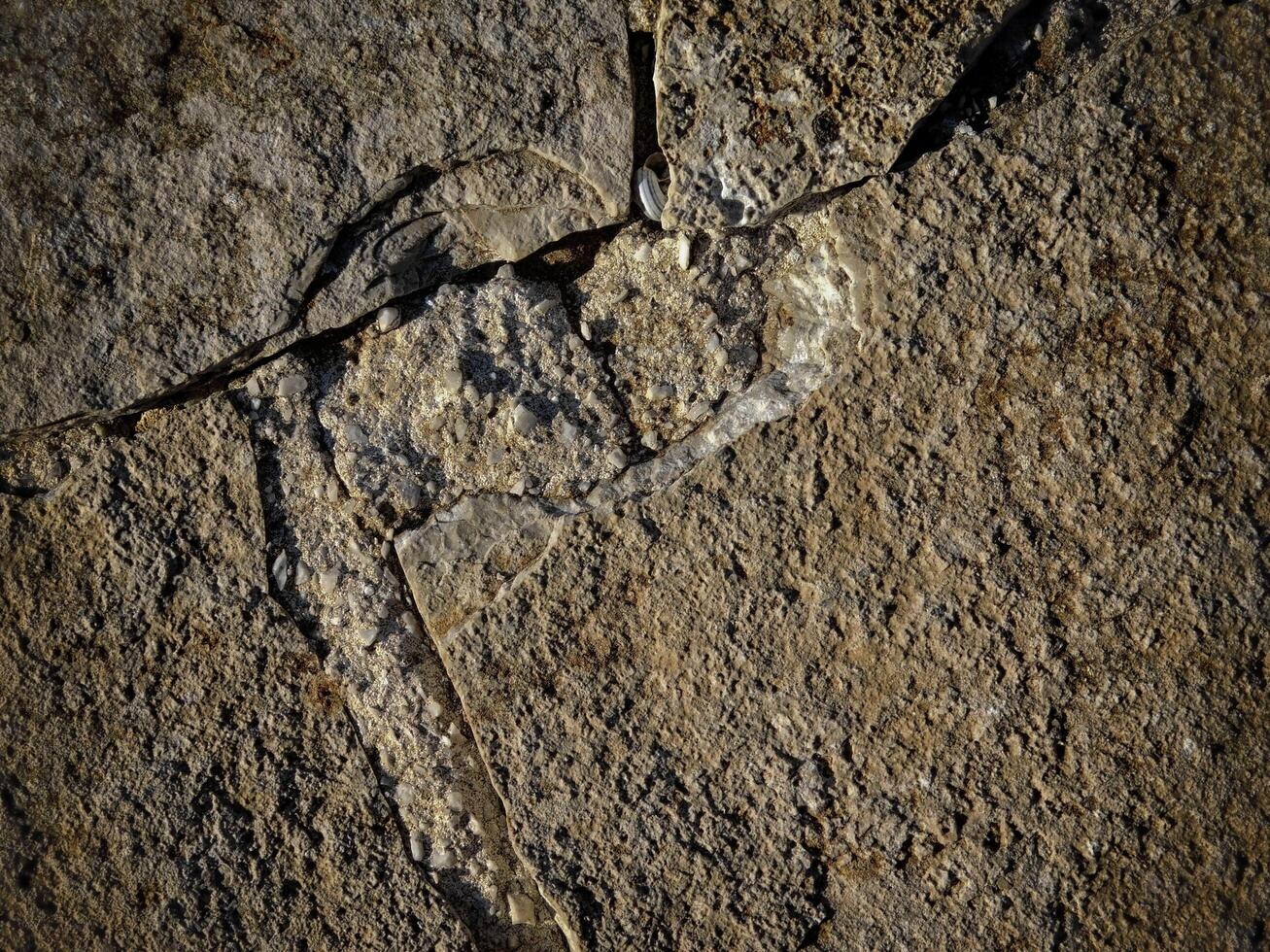 Dark Stone Texture In The Garden photo