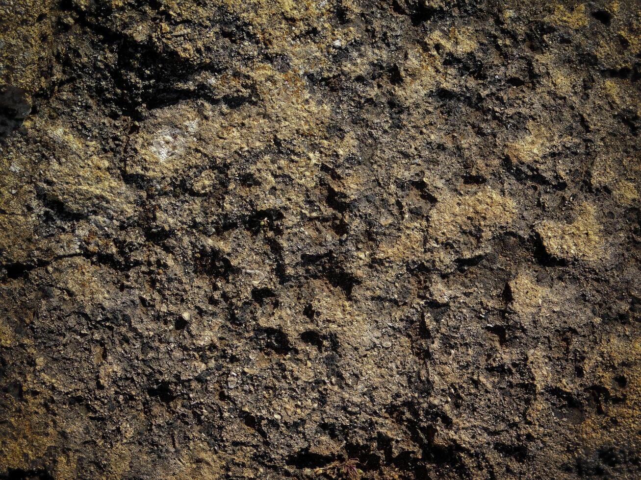 Dark Stone Texture In The Garden photo