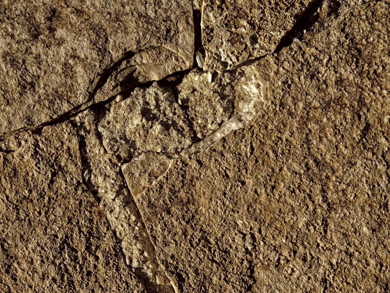 Brown Stone Texture photo