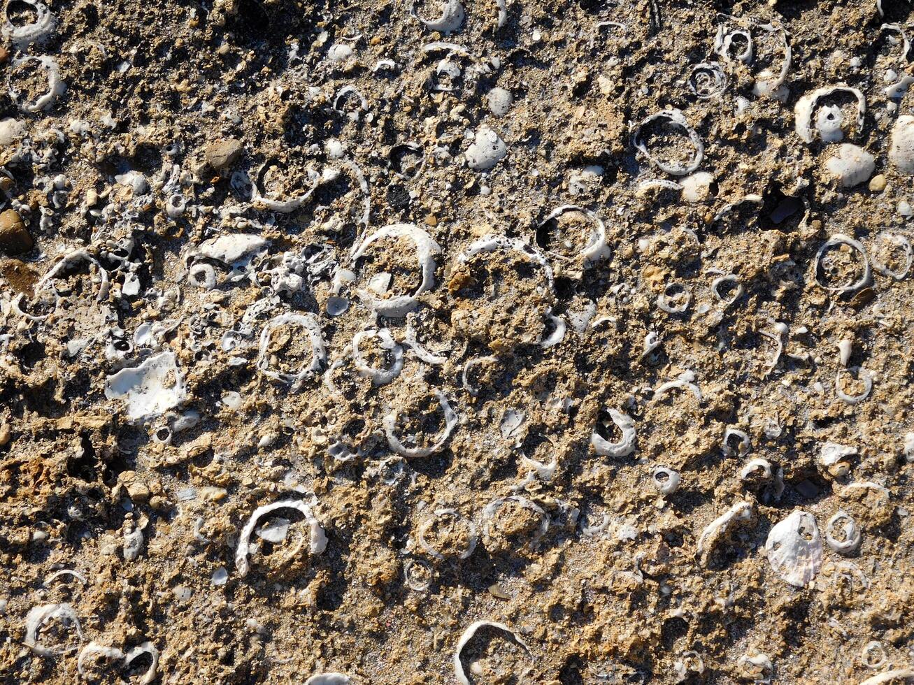 Stone texture outdoor photo