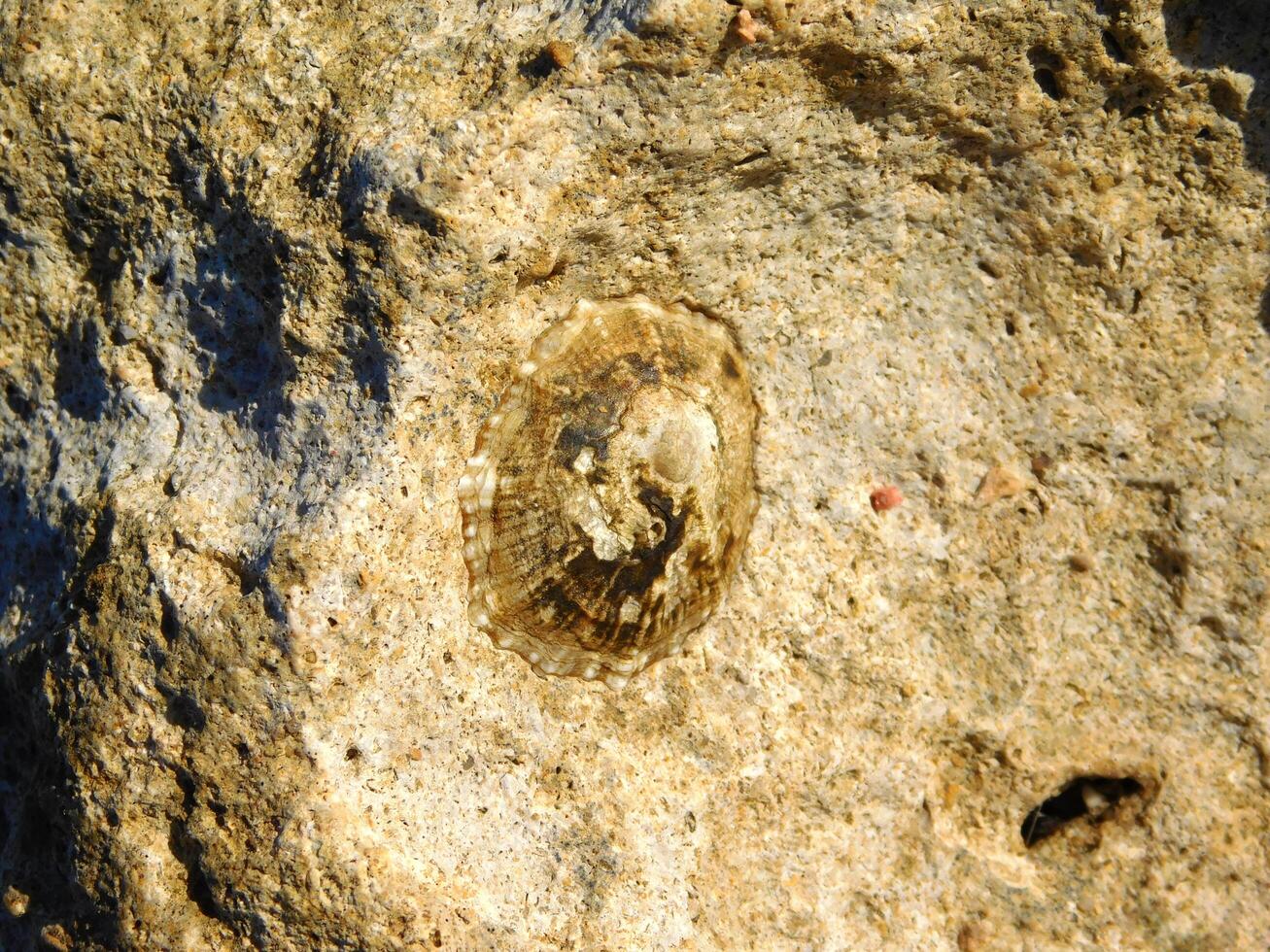 Stone texture outdoor photo