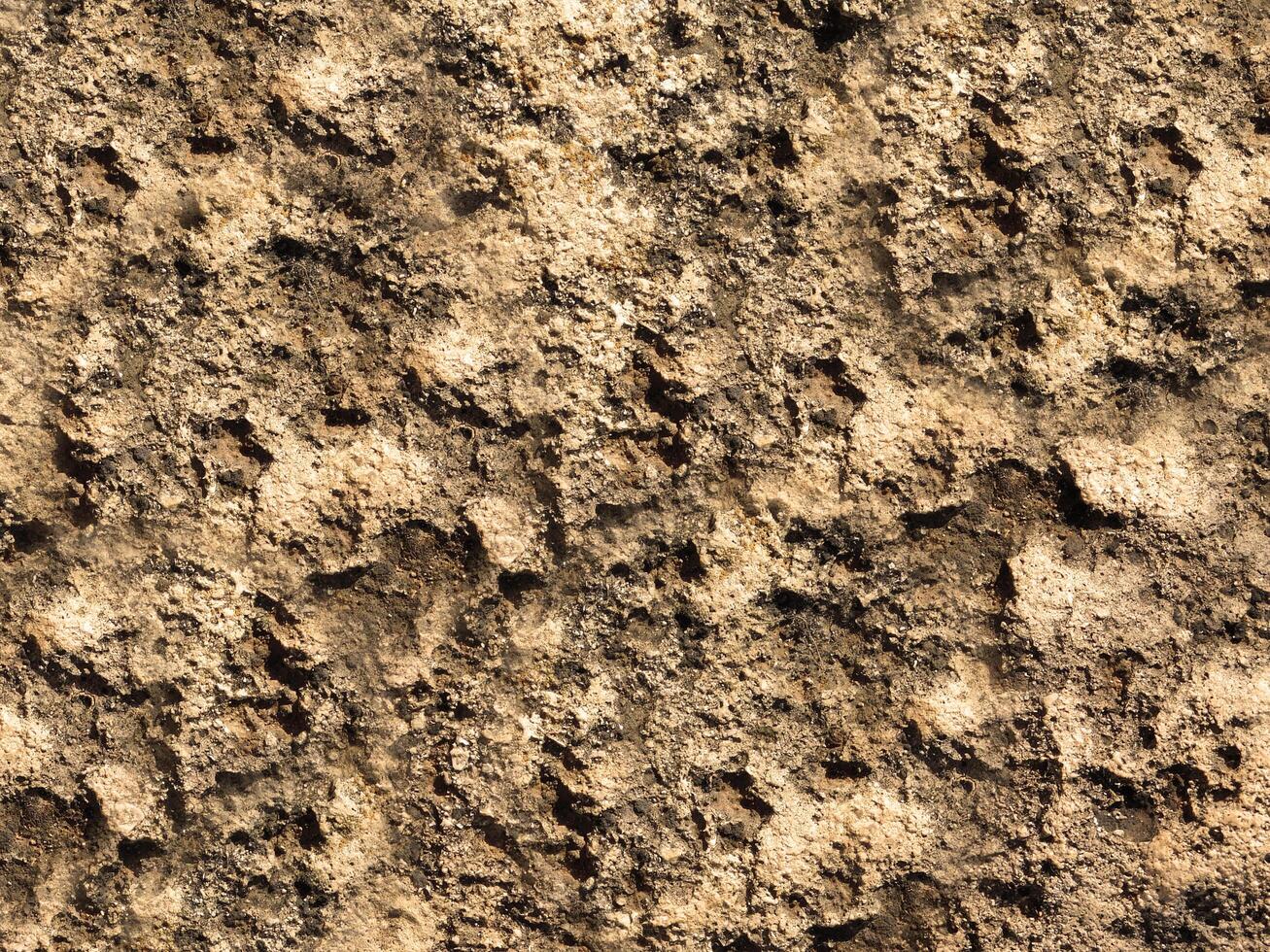 outdoor stone texture photo