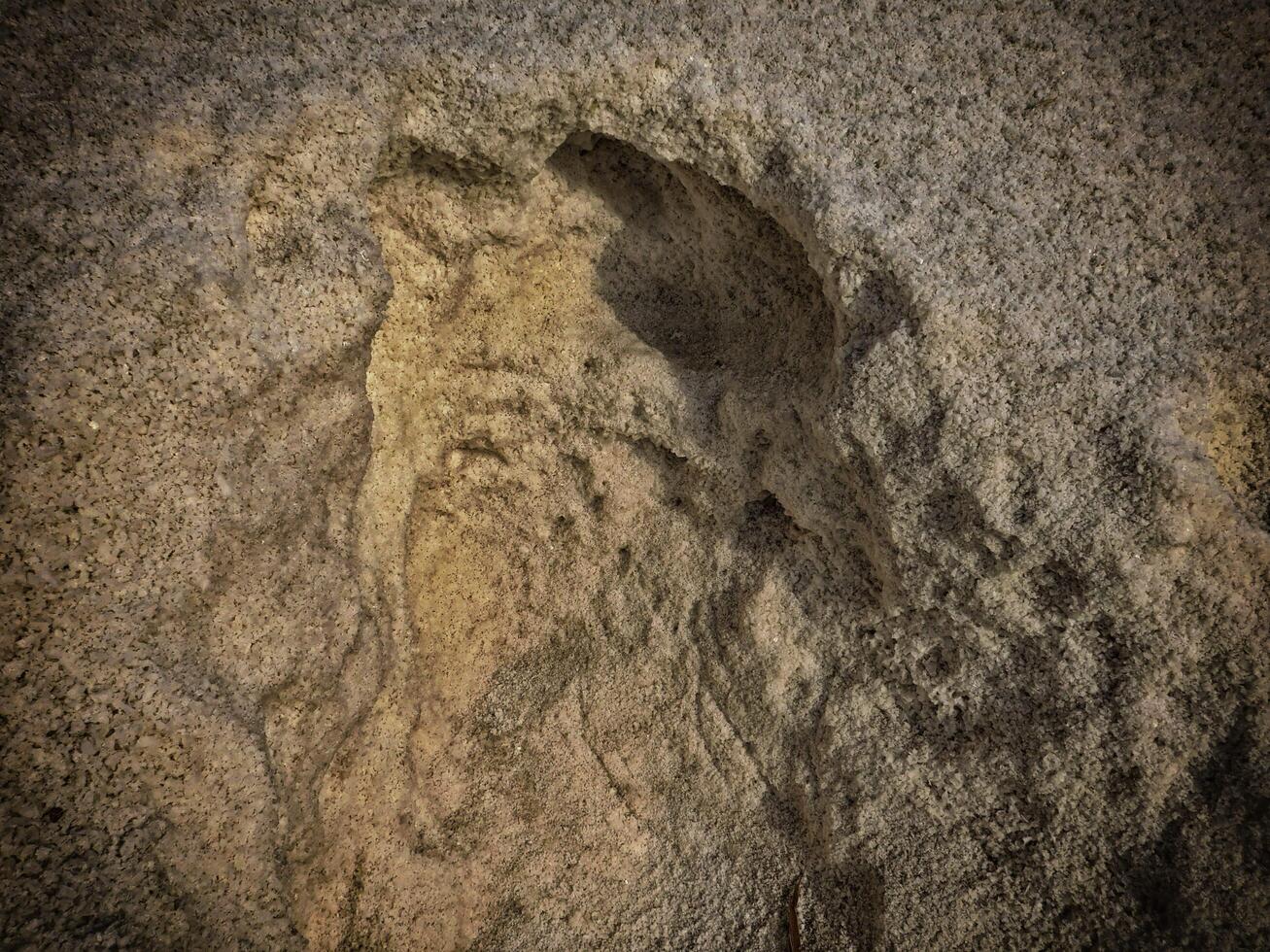 Texture Of Dark Sea Salt photo