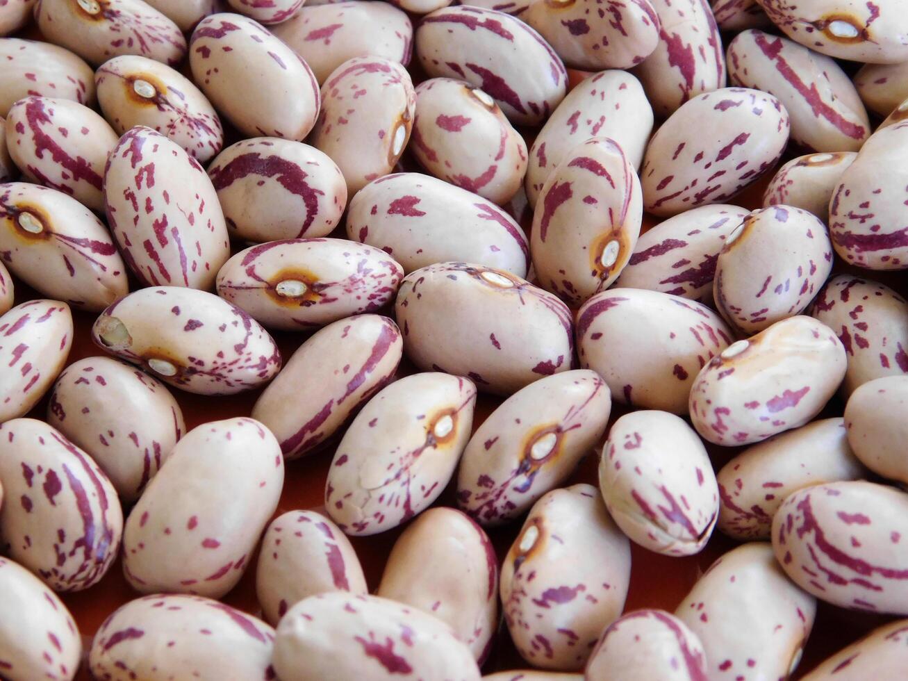 Beans in the kitchen photo