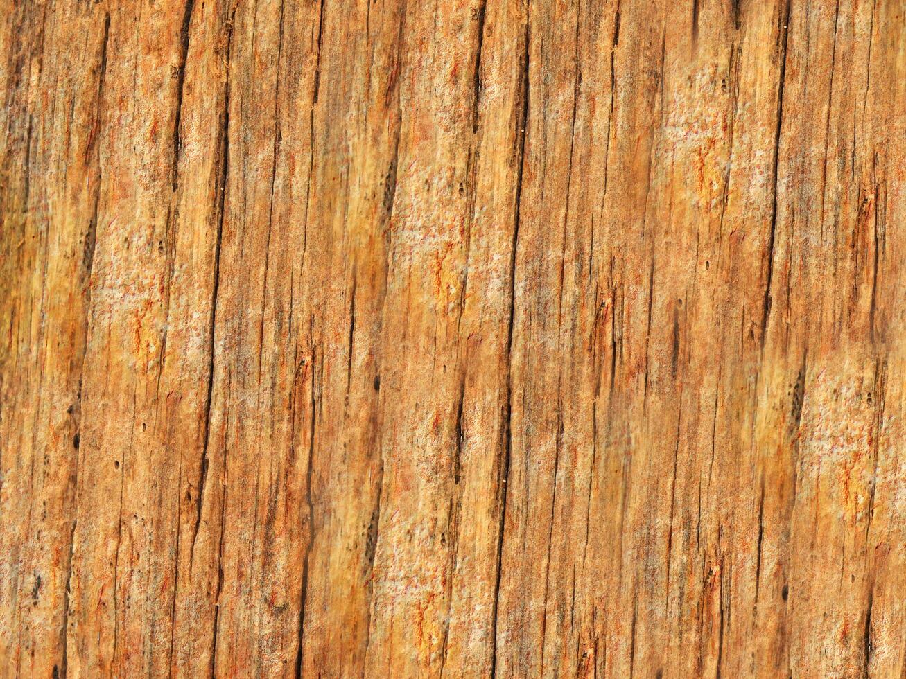 Red Wood Texture photo