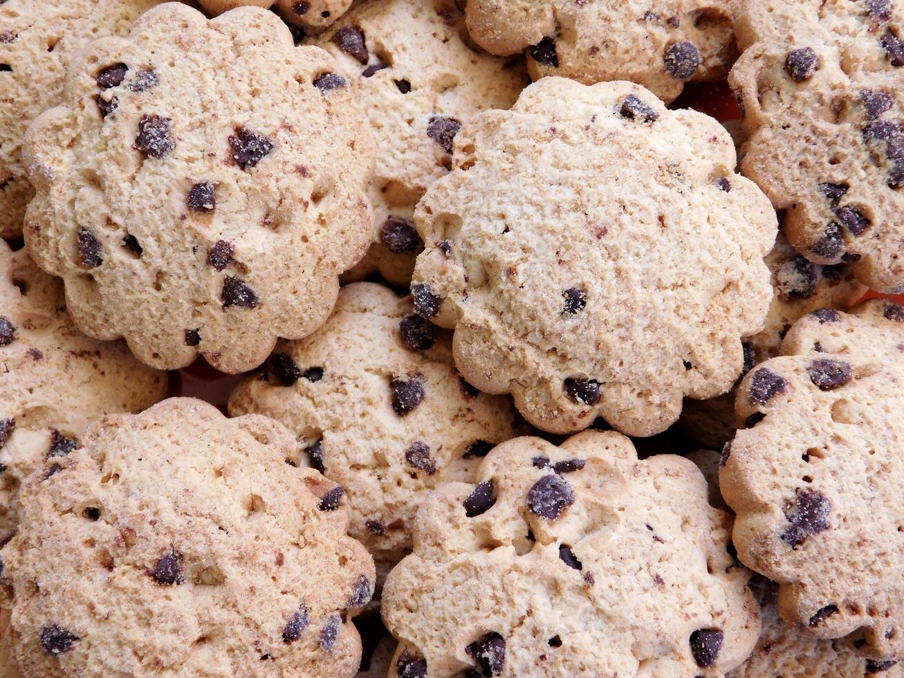 Cookies in the kitchen photo