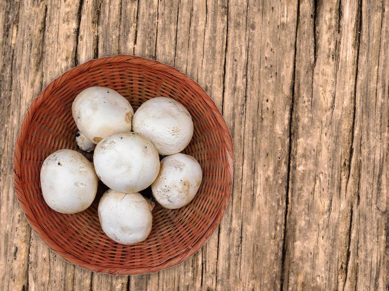 Mushrooms On The Wooden Background photo