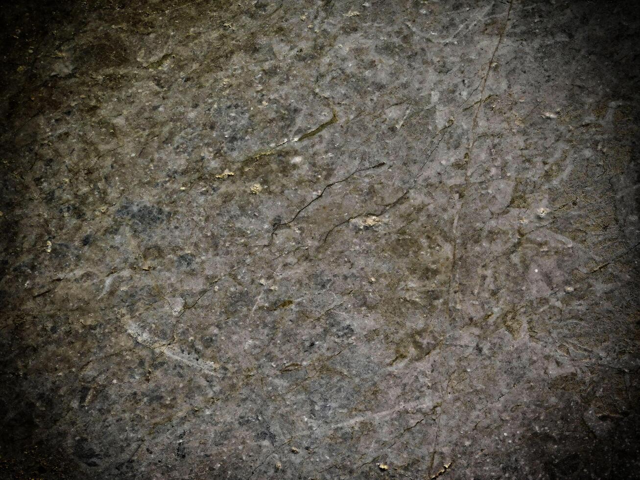 Dark Marble Texture In The Garden photo