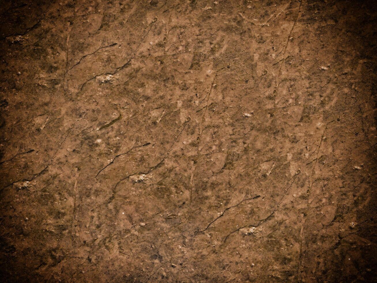 Dark Marble Texture In The Garden photo
