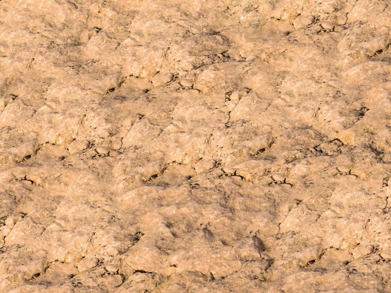 outdoor stone texture photo