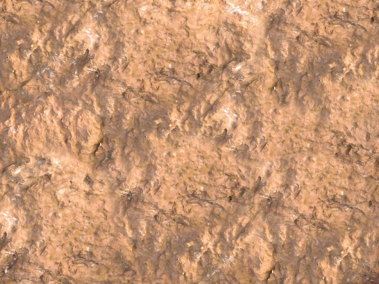 outdoor stone texture photo