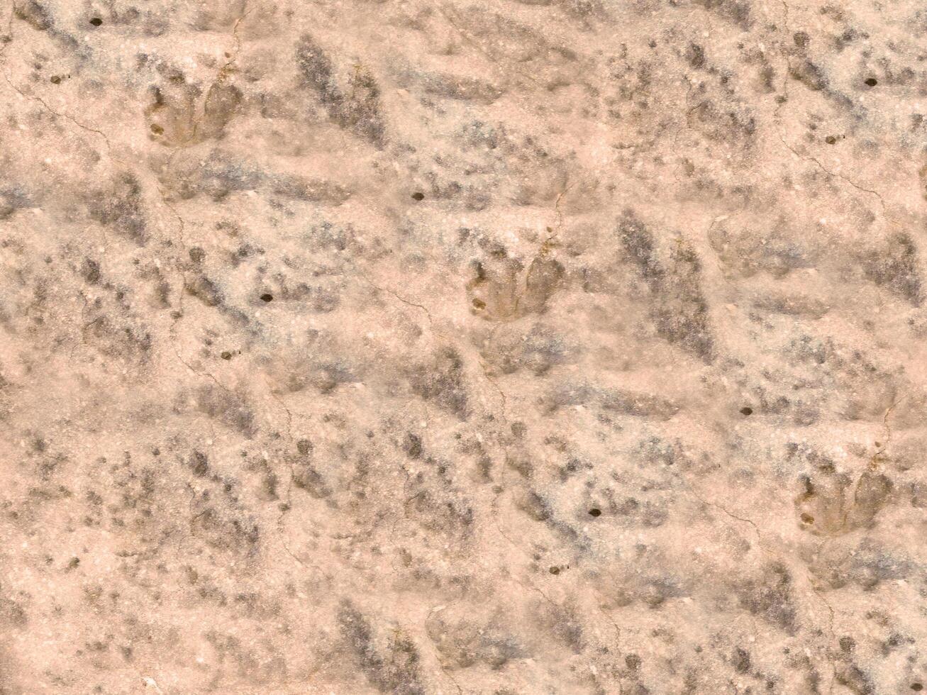 Outdoor marble texture photo