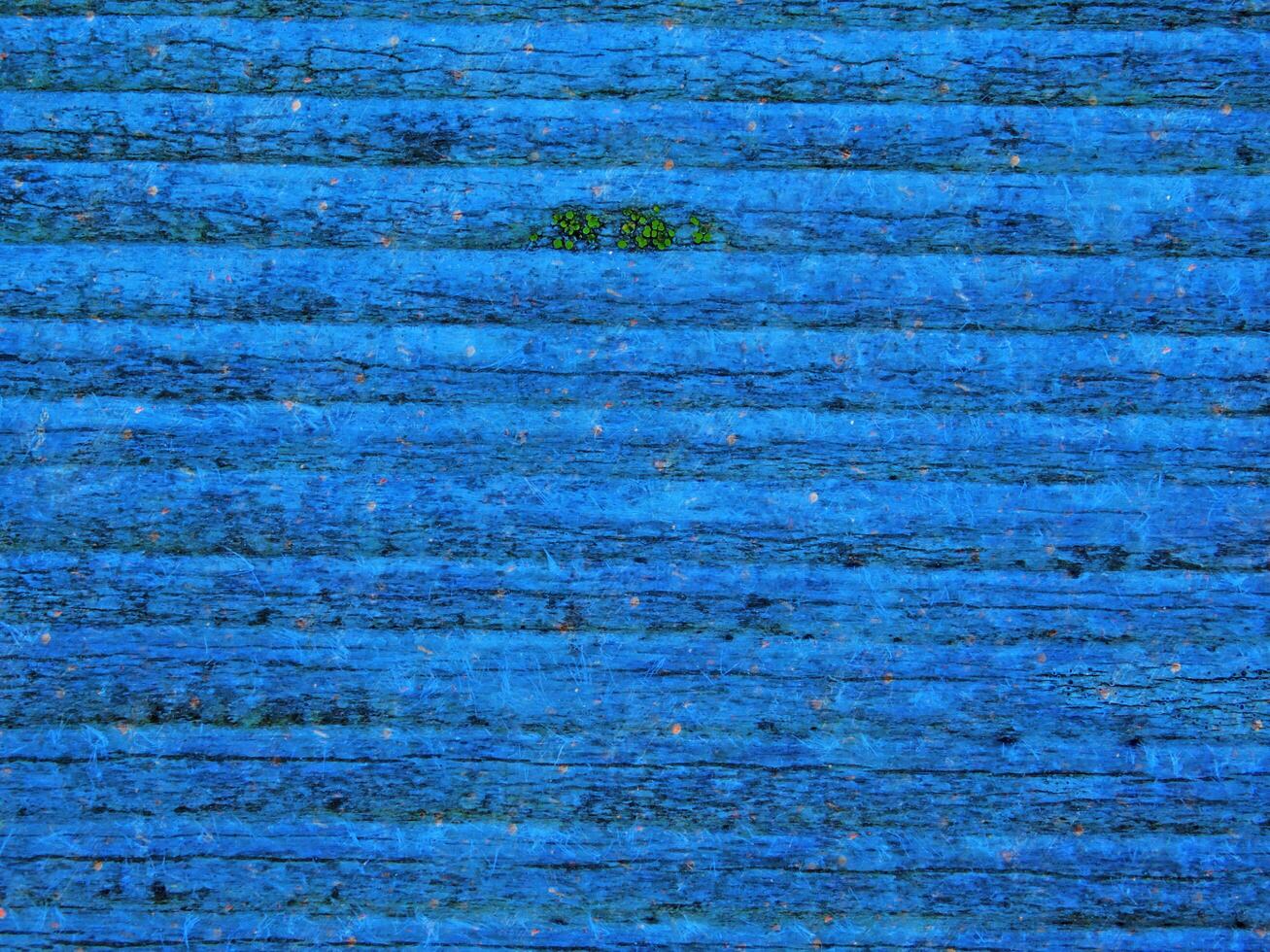 Blue Wood Texture photo