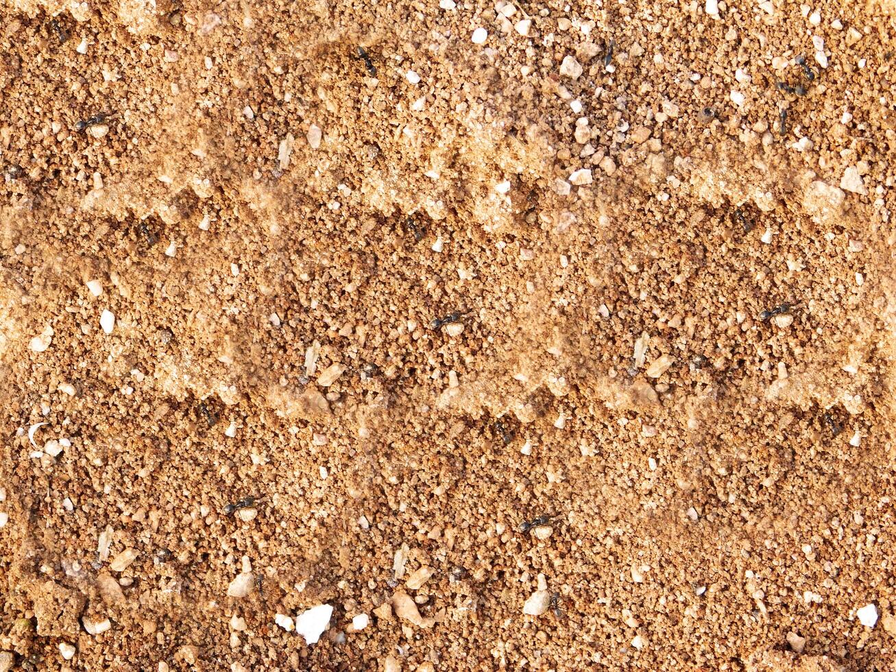 Ground texture outdoor photo