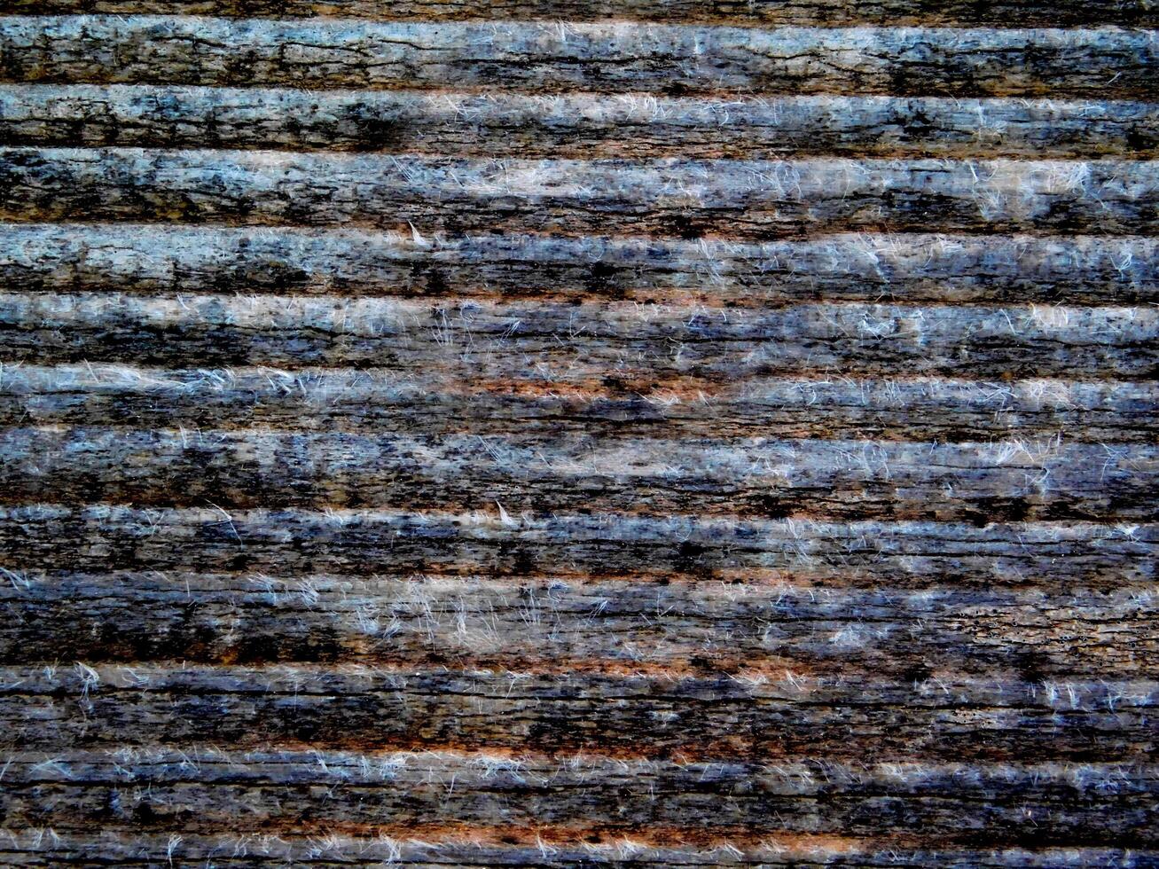 Dark Wood Texture photo