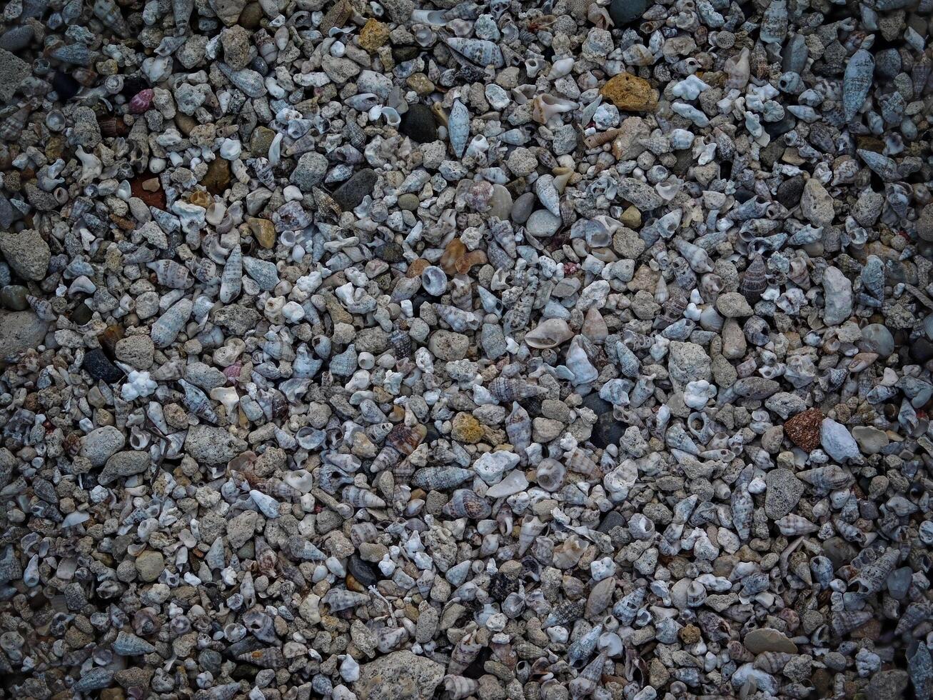 Dark Stone Texture In The Garden photo