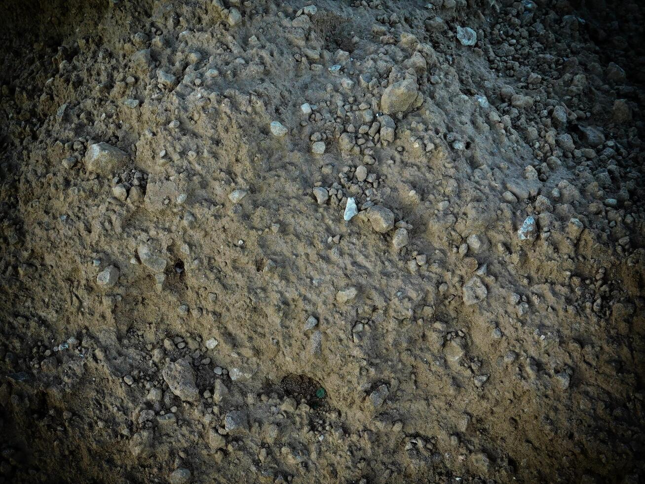 textura de tierra oscura en el jardín foto