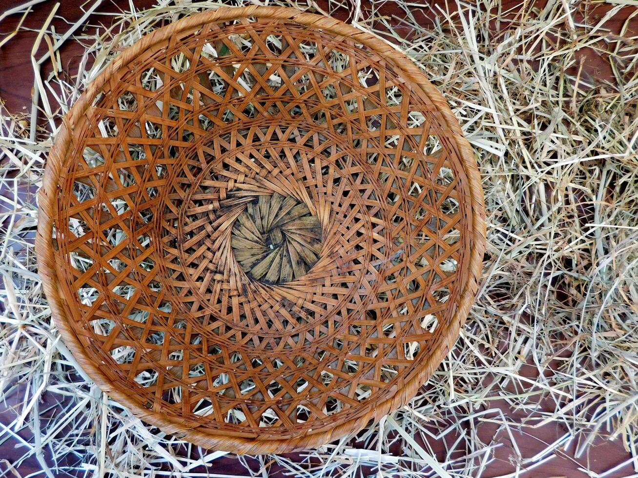 Fruta cesta en el jardín foto