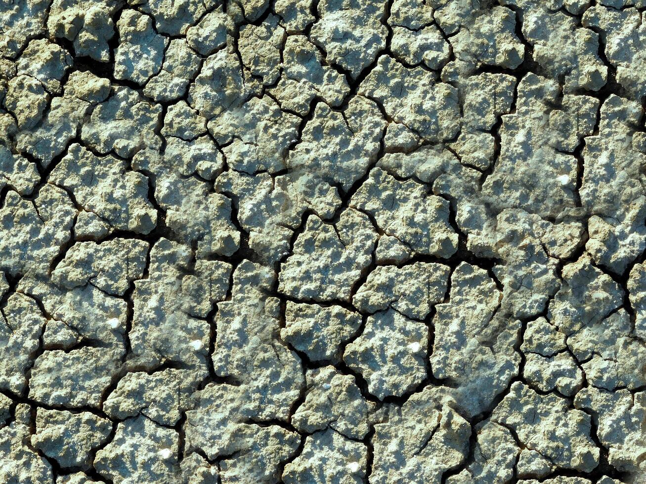 dry ground texture outdoors photo
