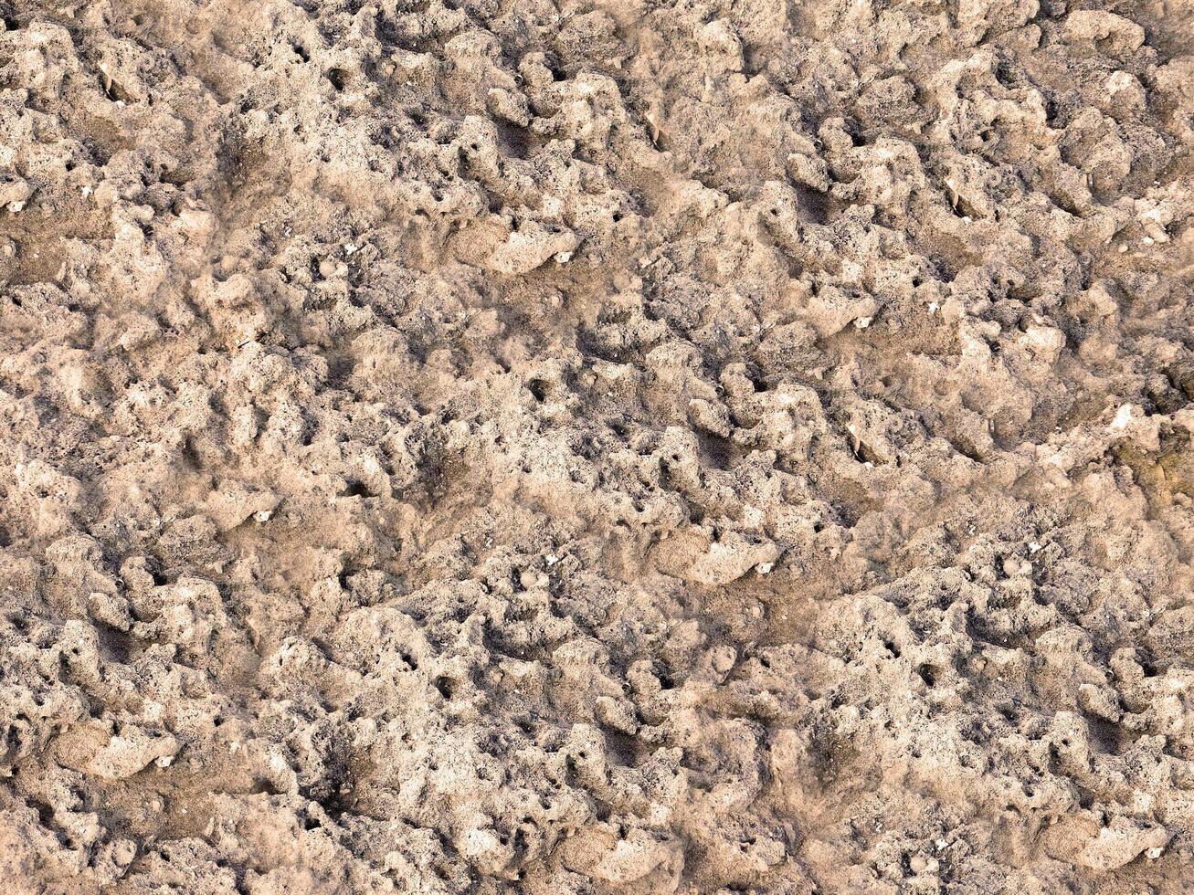 outdoor stone texture photo