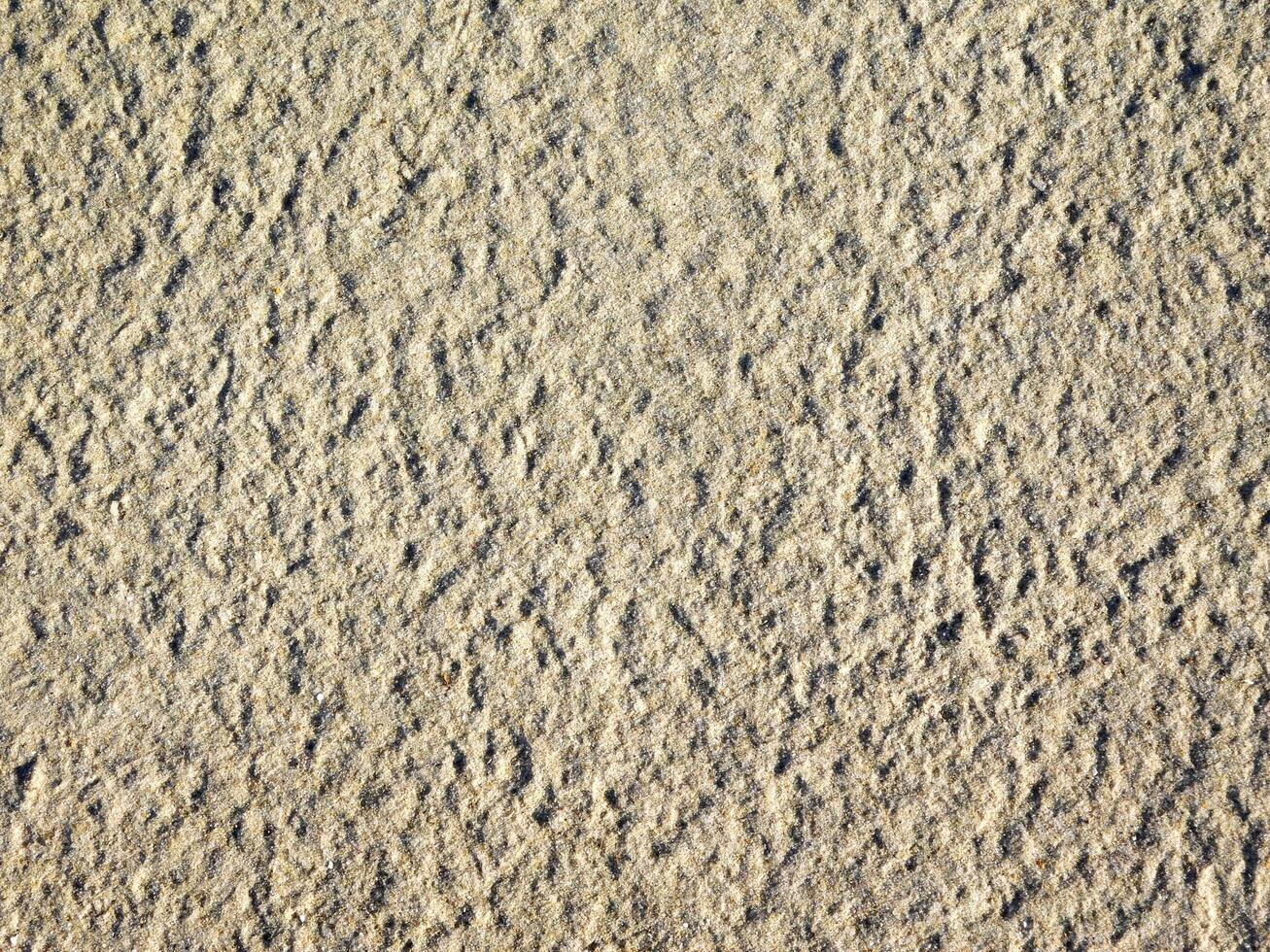 Ground texture outdoor photo