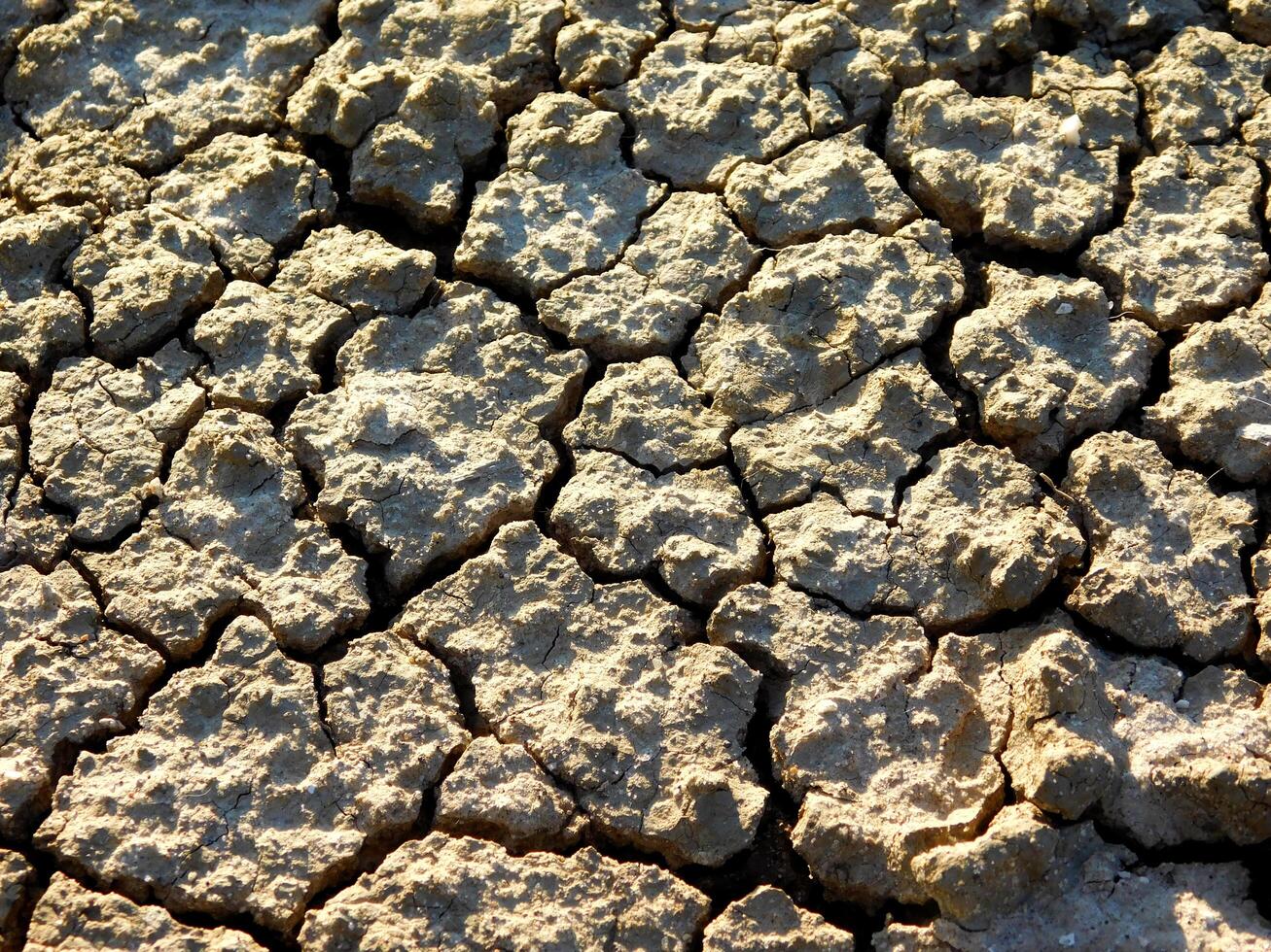 Arid land outdoor photo