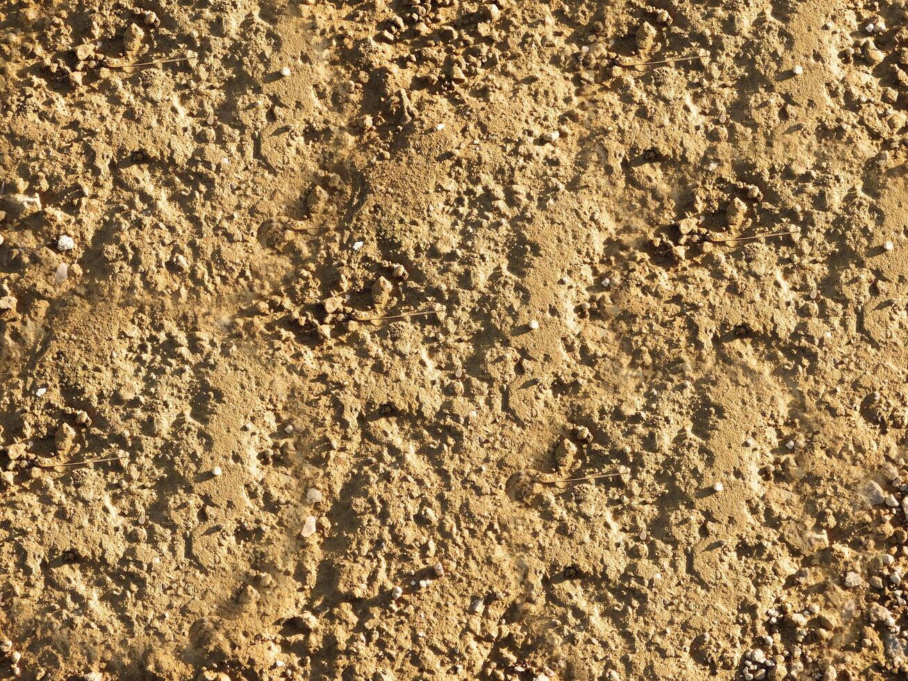outdoor ground texture photo