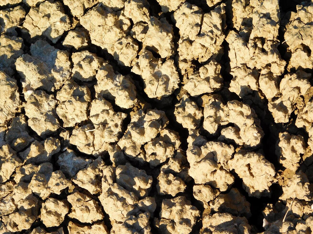 Arid land outdoor photo