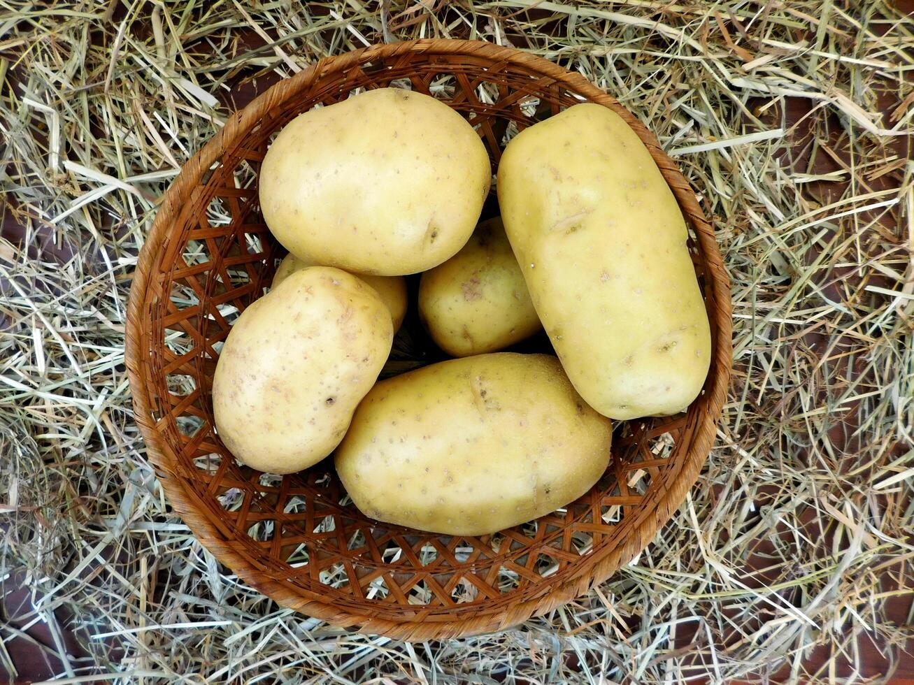 Potatoes in the kitchen photo