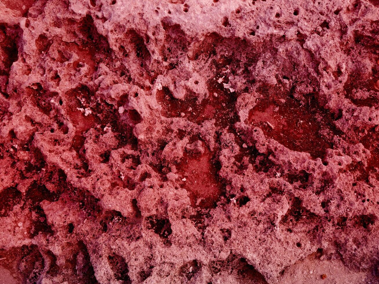 Texture Of Red Stone In The Garden photo