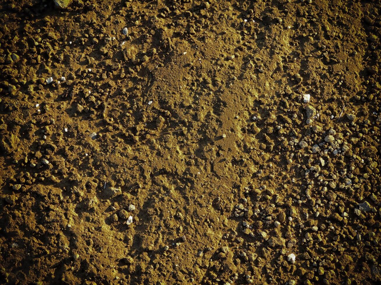 Texture Of Dark Sand At The Sea photo