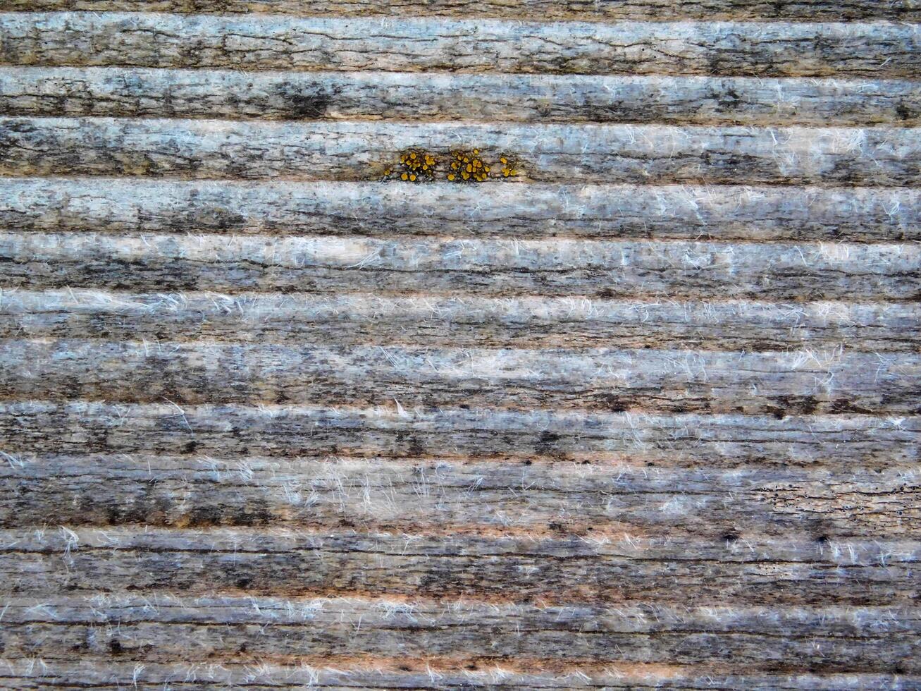 Wood texture outdoor photo