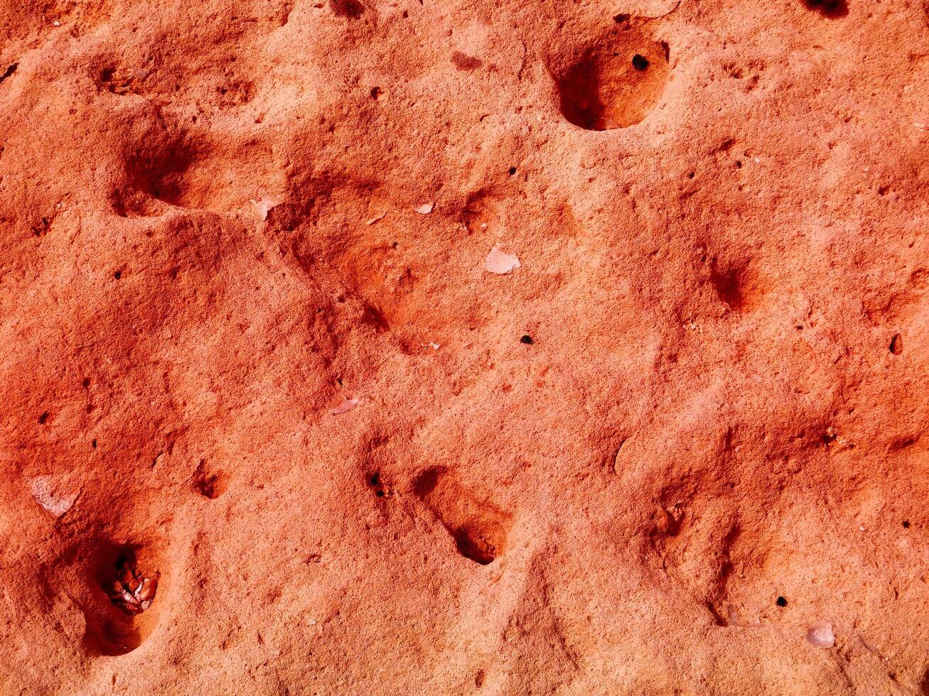 textura de piedra roja en el jardín foto