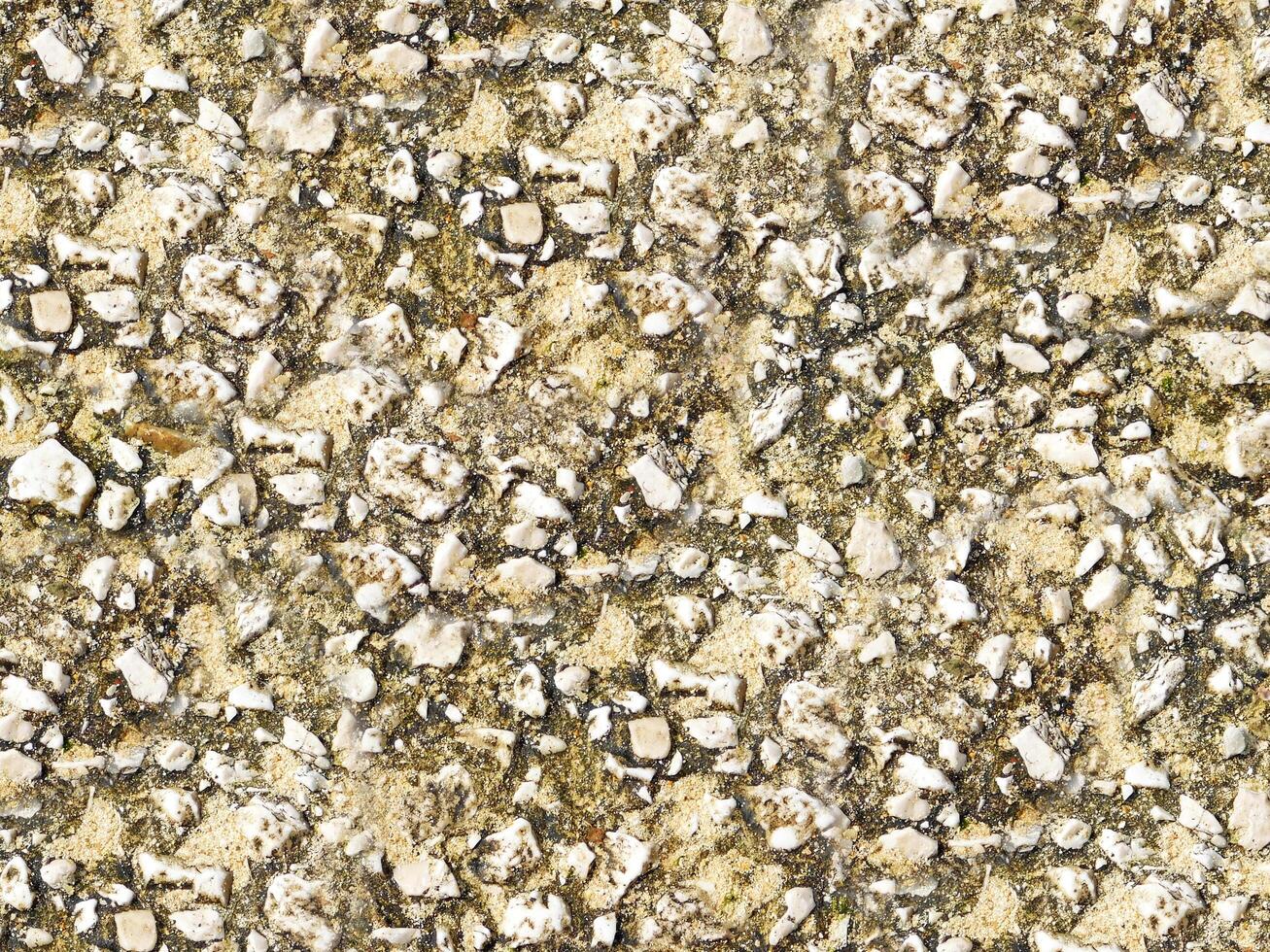 Stone Texture In The Garden photo