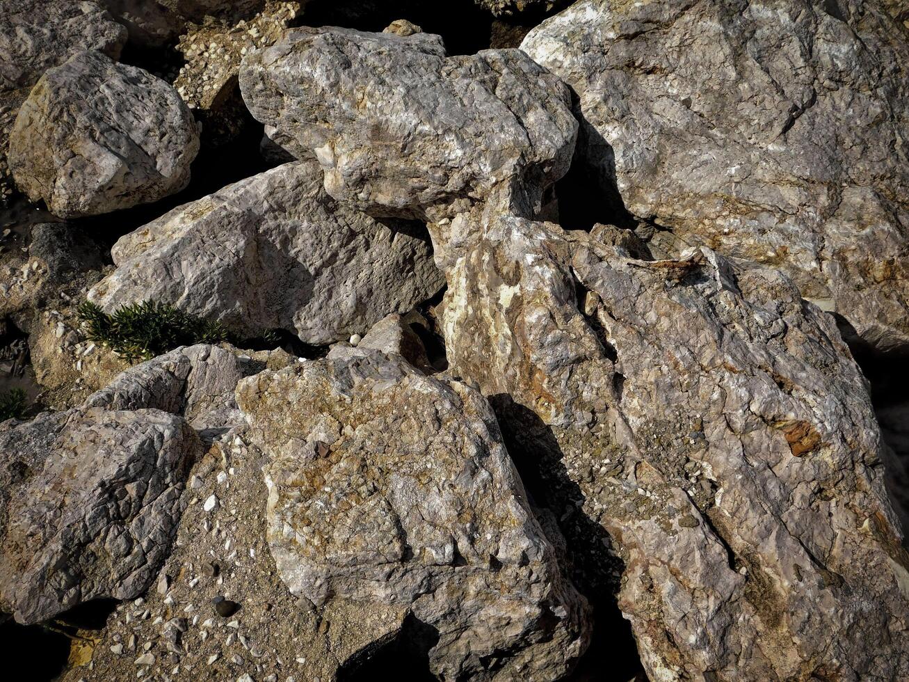 Dark Stone Texture In The Garden photo