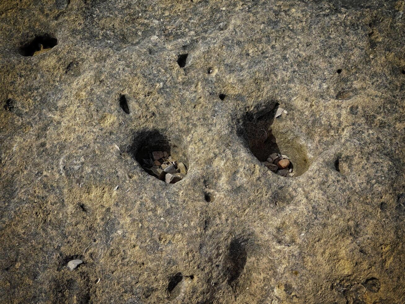 Dark Stone Texture In The Garden photo